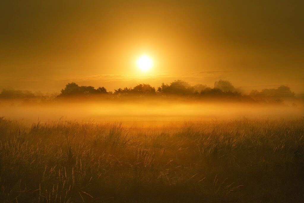 Therapie en coaching Mental Update Amersfoort. De opkomende zon laat de mist verdampen.